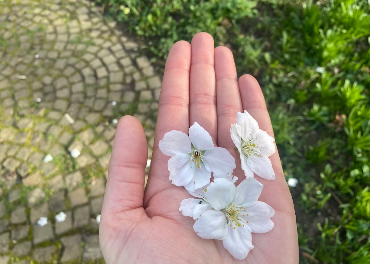 Frühling und Ostara sind die Wegmarken für Neubeginn und Wachstum.